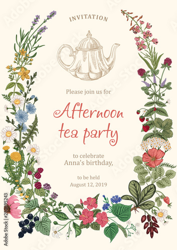 Wild flowers. Herbal tea. Vector illustration.