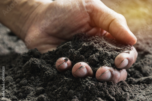 Closeup hand of person holding abundance soil for agriculture or planting peach concept. photo