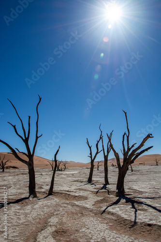 road trip namibia game farm and namib desert © alex