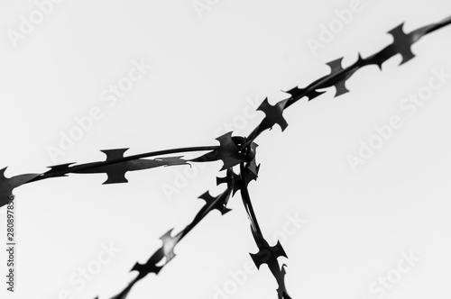 Barbed wire close up. Soft focus. The concept of the struggle for freedom. Copy space. Black and white image.
