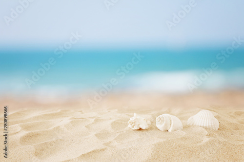 Fototapeta Naklejka Na Ścianę i Meble -  Empty sand beach and shells in front of summer sea background with copy space