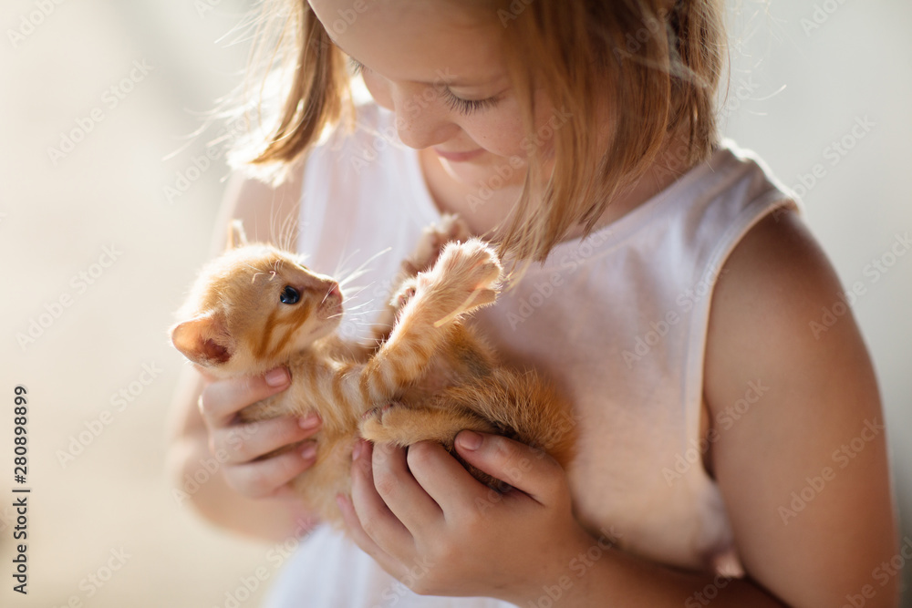 Little girl holding baby cat. Kids and pets - obrazy, fototapety, plakaty 