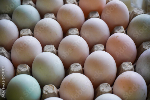 Fresh eggs in egg tray