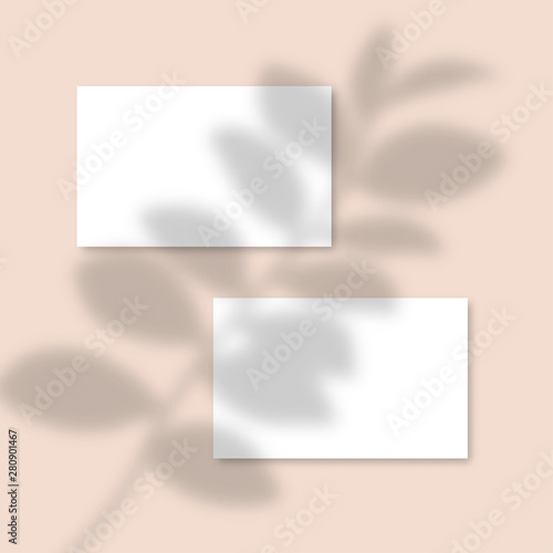 Pink Mockup horizontal business Card Mockup with realistic shadows overlays leaf. Vector Shadow Of A Tropical Plant. Template Flyer, Card, Poster, social media post