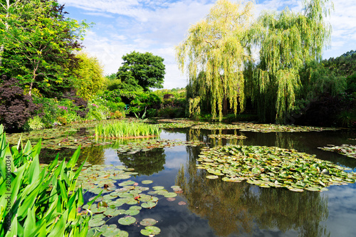 Obraz na plátně Pond with lilies in Giverny