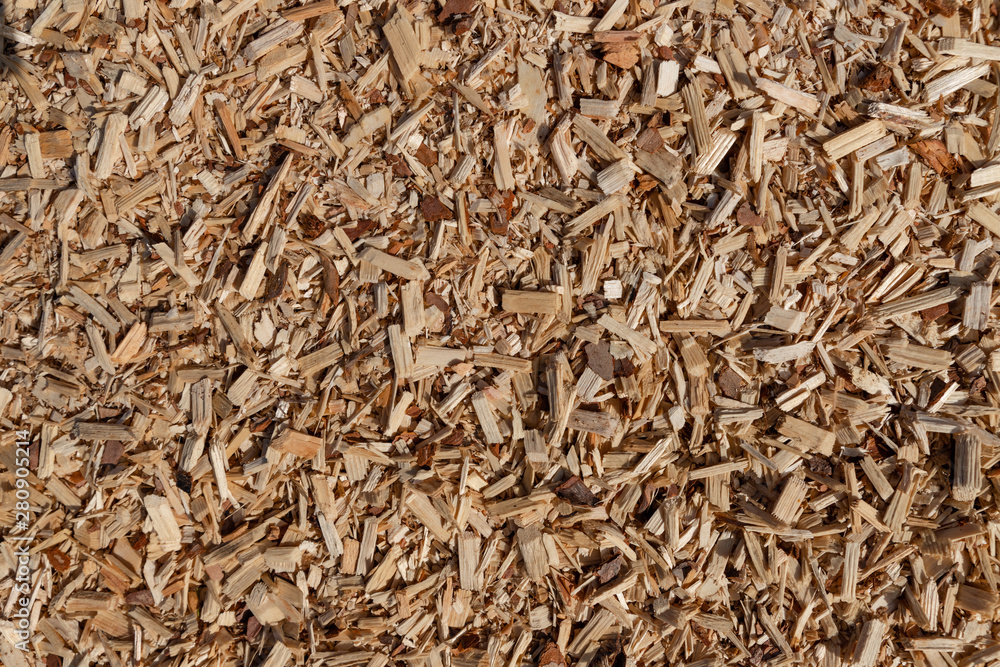 A pile of small sawdust and wood shavings. Abstract textured background for wallpaper in the form of a pattern. A pile of small sawdust and wood shavings. Abstract textured background for wallpaper in the form of a pattern.