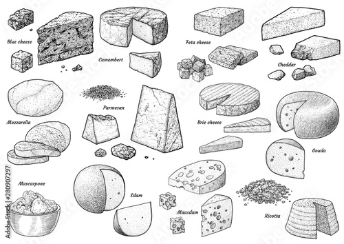 Cheese colelction, illustration, drawing, engraving, ink, line art, vector