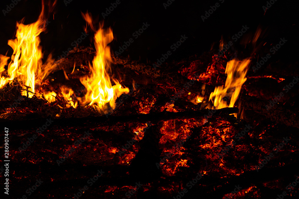 Camp Fire Christmas in July Tree Burning Camp Fire Christmas in July Tree Burning