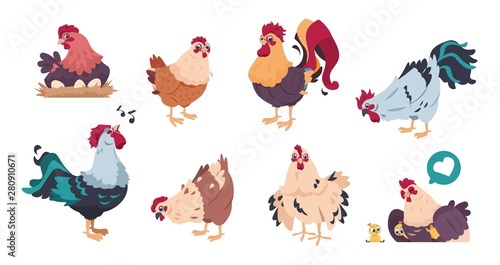 Chicken and rooster. Cute poultry farm characters, cartoon chick with baby chickens isolated. Vector illustrations colourful domestic birds set on white background