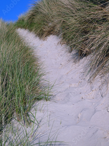 Strandweg durch die Dünen