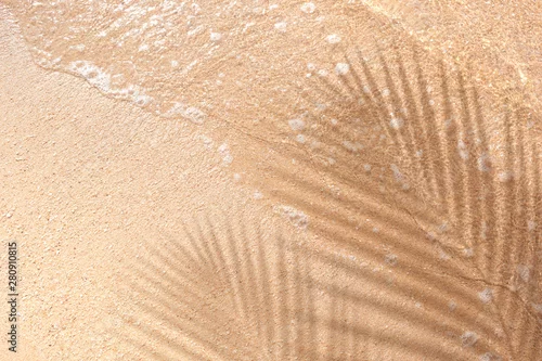 Obraz Selective focus of summer and holiday backgrounds concepts with shadow of coconut leaf on clean sand beach