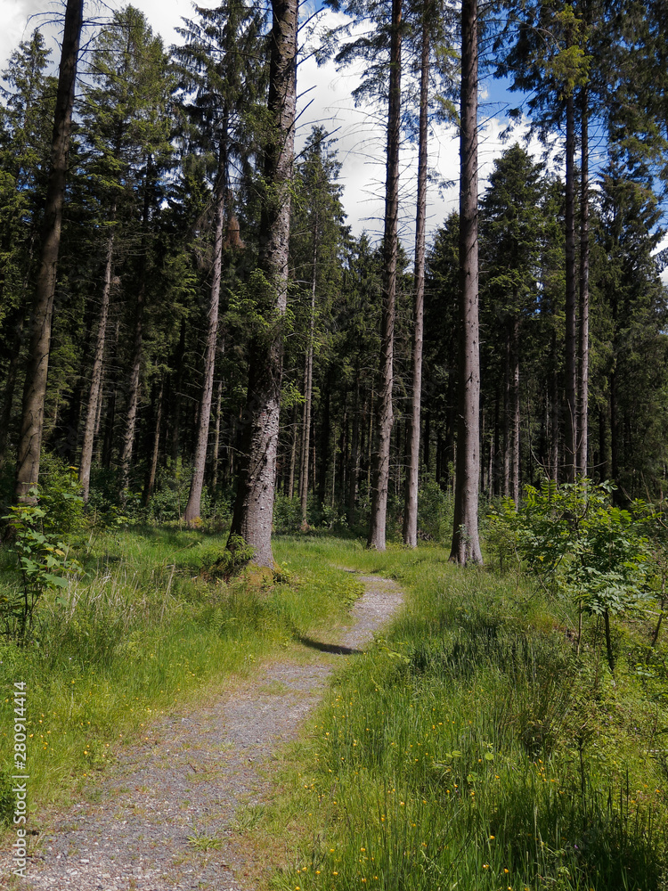 Fototapeta premium RSPB Lake Vyrnmy Reserve