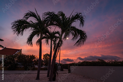 Walking the dog at sunset  Views around the Caribbean island of Curacao