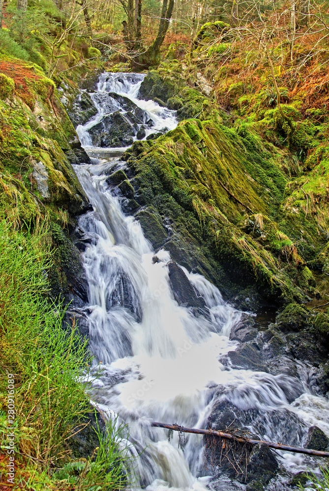 Obraz premium Waterway, Stream, Waterfall, Kenick burn, Lauriston