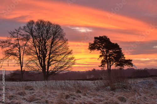 Sunrise, Winter, Snow, Dumfries