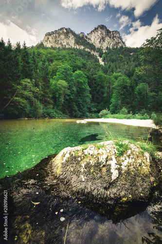 summer forest landscape. fairytale view in the forest. mountain on the background photo