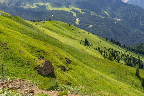 Beautiful Alps with forest and green mountain hill photo