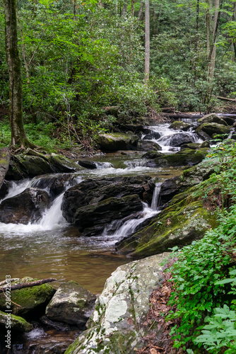 Mountain stream