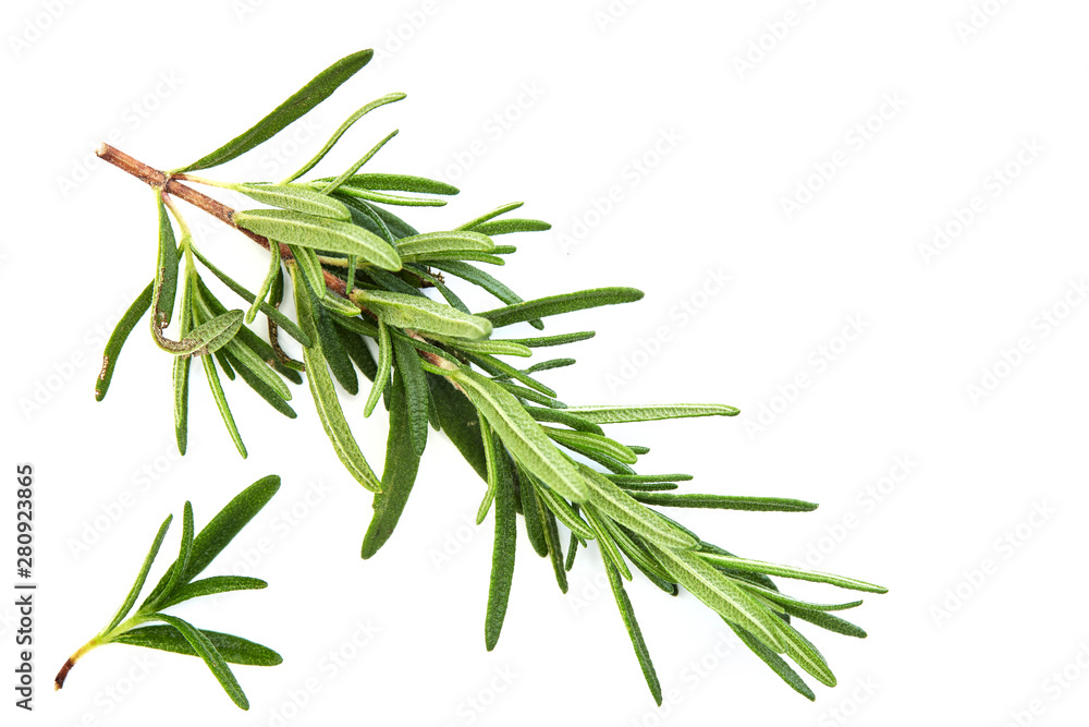 Fototapeta premium fresh raw rosemary on white background
