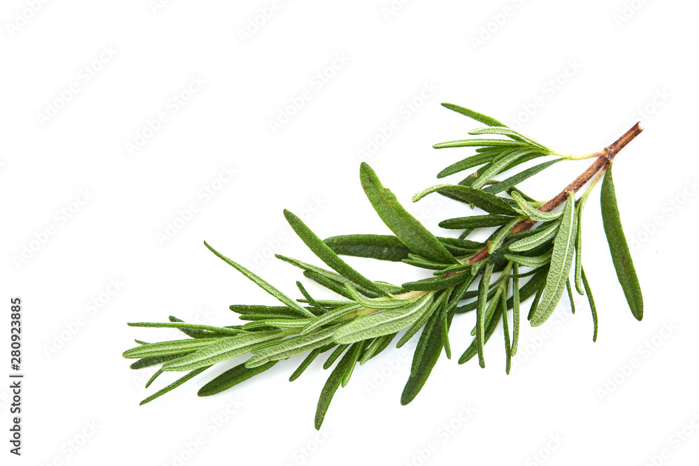 Fototapeta premium fresh raw rosemary on white background
