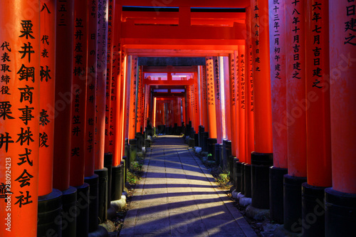 Torii gates at Fushimi Inari shrine in Tokyo  Japan.