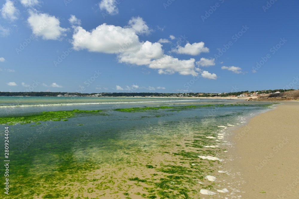 St Aubin's Bay, Jersey, U.K. Seawwed issue with hot Summer weather.