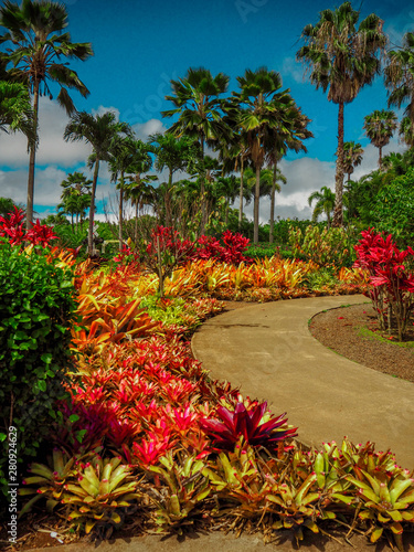 Dole Plantation: Pineapple Plantation O'ahu Hawaii
