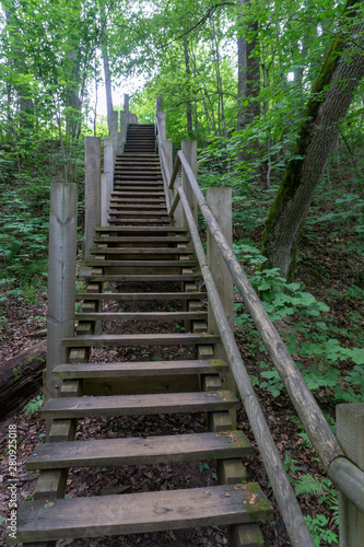 Wooden stairs in the forest