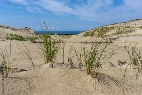 Landscape of Lithuania. Isthmus of Courland. Dunes photo