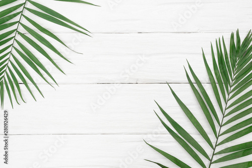 A green palm leaf on the white wooden background.