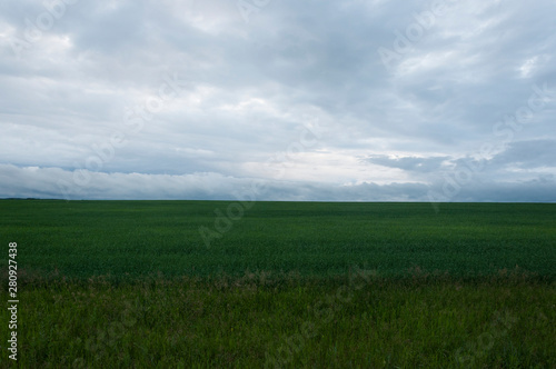 dark clouds over field with grass