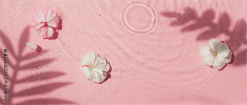 Pink water texture background on the noon sunlight with tropical leaves shadows and flower blossoms. 