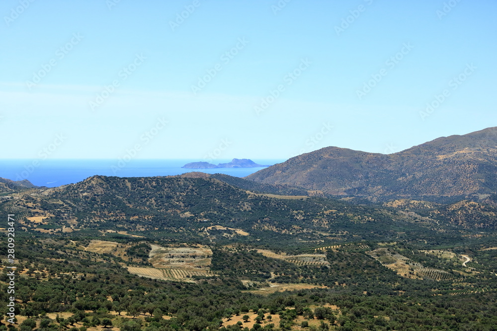 Obraz premium Olive plantations Crete, Greece, Europe