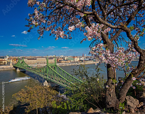 Liberty Bridge in Budapest,...