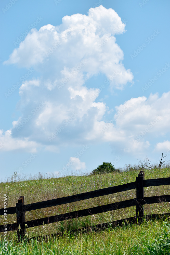 Rural Pasture with Fence