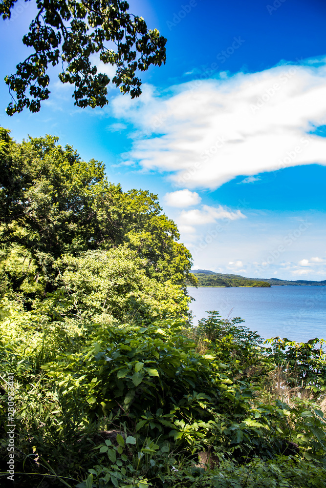 Thick Jungle Plants Line the Beach with a View of the Lake on Zapatera Island outside of Granada, Nicaragua