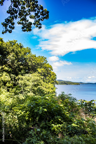 Fototapeta Naklejka Na Ścianę i Meble -  Thick Jungle Plants Line the Beach with a View of the Lake on Zapatera Island outside of Granada, Nicaragua