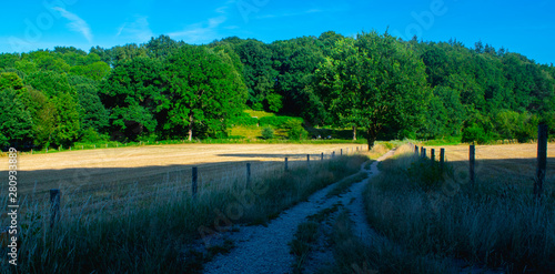 A path next to a Dutch meadow