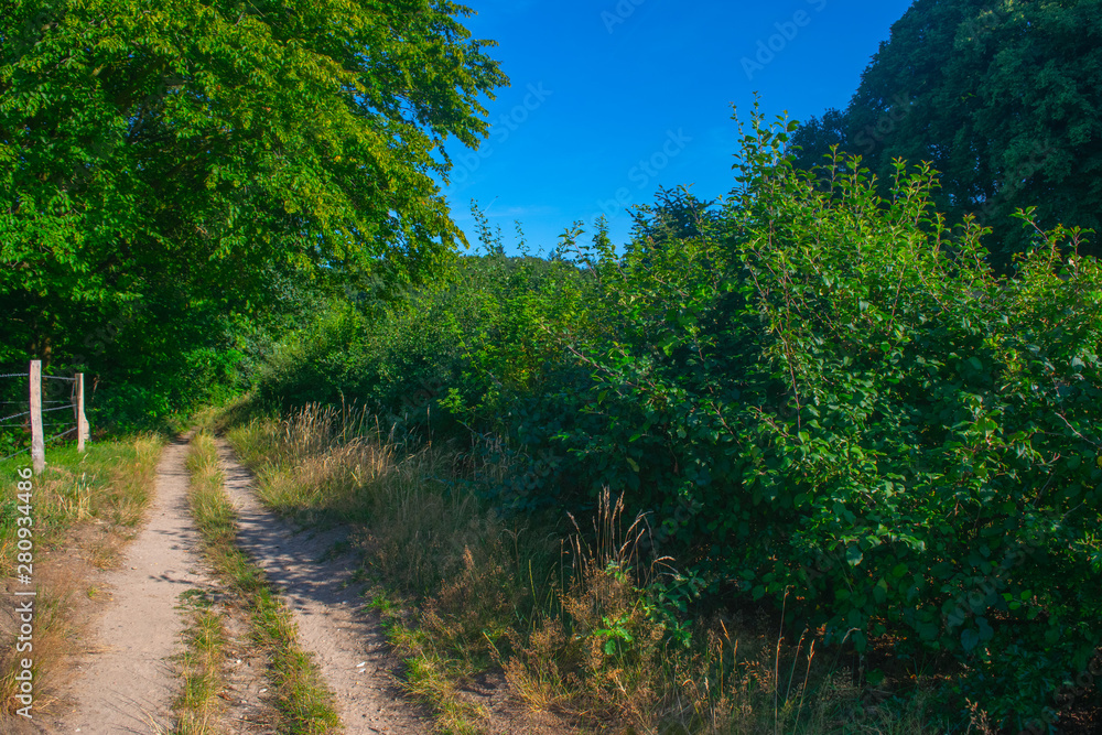 A path next to a Dutch meadow