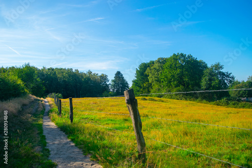 Fototapeta Naklejka Na Ścianę i Meble -  A path next to a Dutch meadow