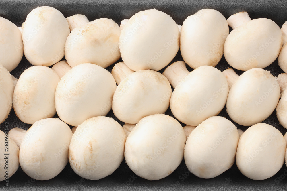 Bowl of fresh mushroom isolated on white background. top view Bowl of fresh mushroom isolated on white background. top view
