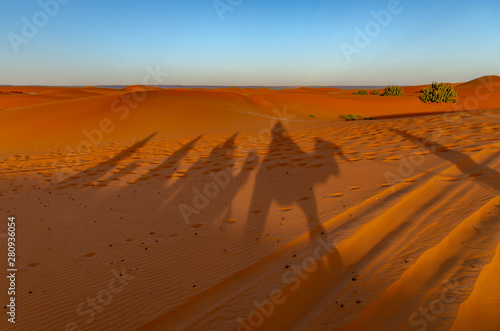 Ombre nel deserto di Merzouga