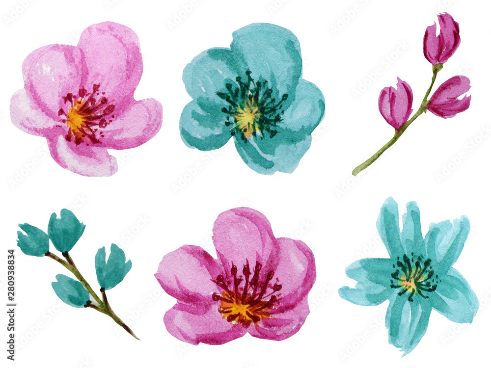 Beautiful bright colors watercolor flowers set. Pink and turquoise flower Isolated on white background.
