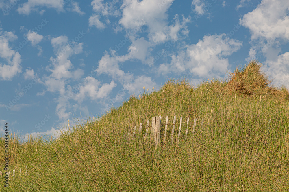 Fototapeta premium Marram grass covered sand dunes at Formby in Merseyside, on a sunny summers day