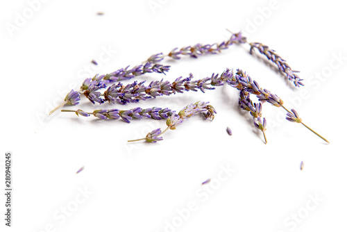 Fototapeta Naklejka Na Ścianę i Meble -  Lavender flowers in closeup