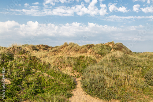 Marram grass covered sand dunes at the Merseyside coast, at Formby