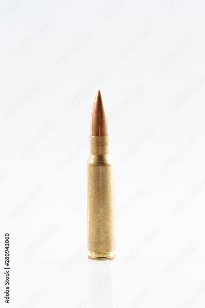 Hunting cartridges of caliber .308 Win Hunting cartridges of caliber .308 Win