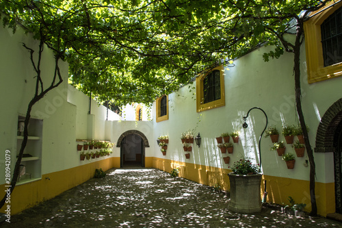 A Spanish patio with wine grape vines creating a cool shade on a hot Andalusian day.