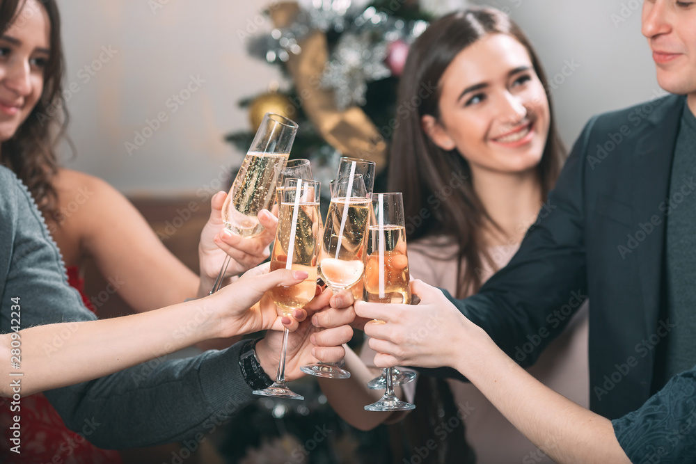 Portrait of several friends celebrating Christmas. Portrait of several friends celebrating Christmas.