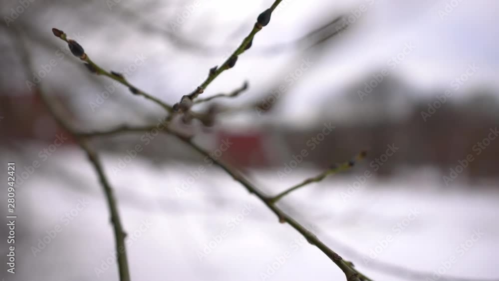 Winter landscape with tree branches on foreground and red roof building on background - rack follow focus Winter landscape with tree branches on foreground and red roof building on background - rack follow focus